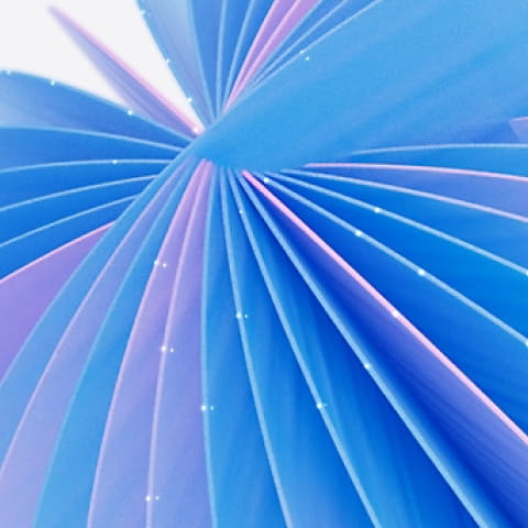 LalinSoft Instagram